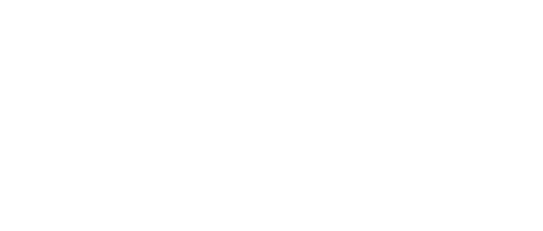 Saller Logo